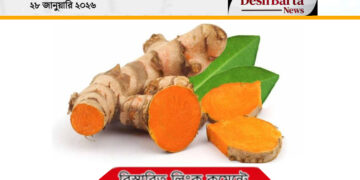 রোজ সকালে খালি পেটে খান কাঁচা হলুদ