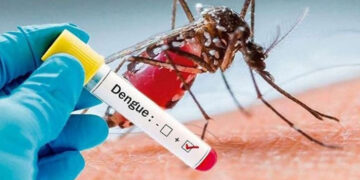 ডেঙ্গুতে আক্রান্ত হয়ে আরও ১৯ জন হাসপাতালে ভর্তি