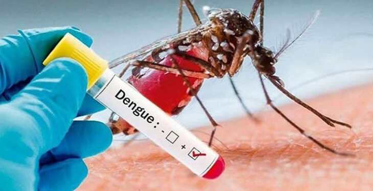 ডেঙ্গুতে আক্রান্ত হয়ে আরও ১৯ জন হাসপাতালে ভর্তি