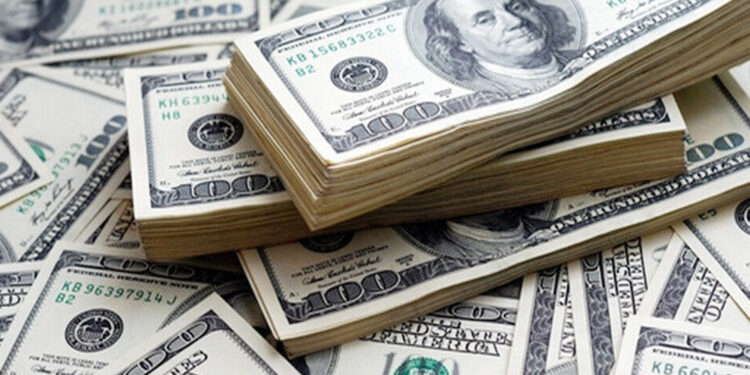 জানুয়ারির ২৪ দিনে দেশে এলো ২৪৮ কোটি ডলার