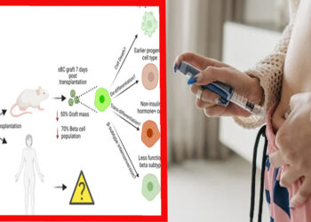 ডায়াবেটিস নিয়ন্ত্রণে লাগবে না ইনজেকশন