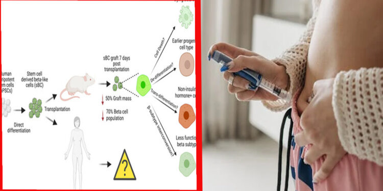 ডায়াবেটিস নিয়ন্ত্রণে লাগবে না ইনজেকশন