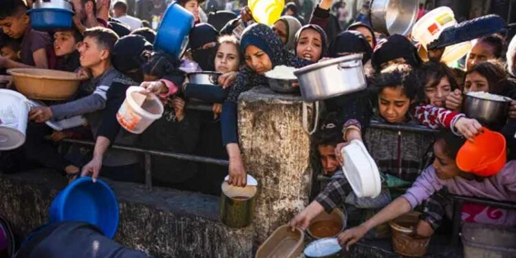 তীব্র খাদ্য সংকটে ধুঁকছে গা’জা উপত্যকা