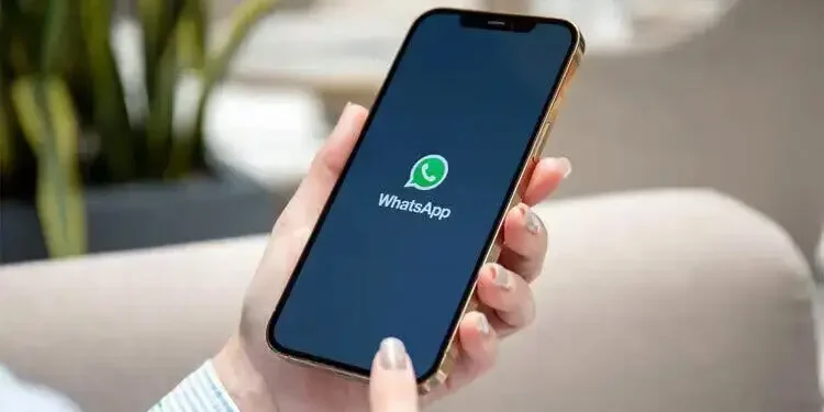 হ্যাকিং চক্রের বড় ফাঁদ হোয়াটসঅ্যাপ