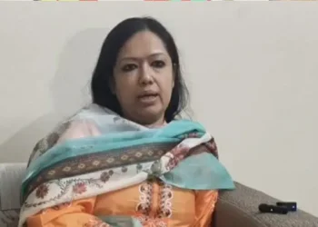 নেতাকর্মীদের নিয়ন্ত্রণ করতে না পারলে বিএনপির পরিণতি ভয়াবহ হবে : রুমিন