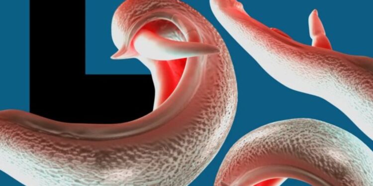 দেশে দেশে ছড়াতে পারে যৌনাঙ্গ আক্রান্তকারী পরজীবী