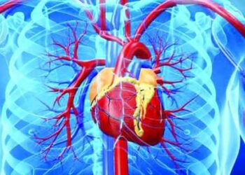 হৃদরোগ এড়াতে খাবারে পরিবর্তন জরুরি