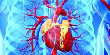 হৃদরোগ এড়াতে খাবারে পরিবর্তন জরুরি