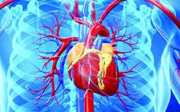 হৃদরোগ এড়াতে খাবারে পরিবর্তন জরুরি