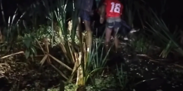 বরিশালে বিএনপিকর্মীকে কুপিয়ে হত্যা