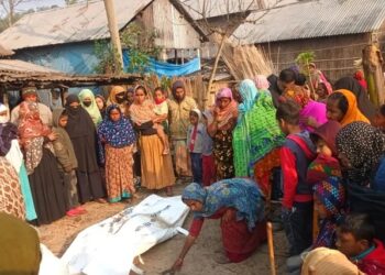 নাটোরে কৃষকের বাড়িতে আগুন, প্রাণ গেল মা ও শিশুর