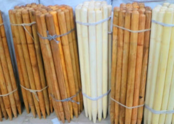 রাজধানীতে ভোটকেন্দ্র থেকে শতাধিক স্ট্যাম্প উদ্ধার