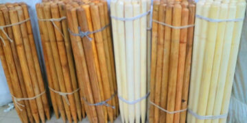 রাজধানীতে ভোটকেন্দ্র থেকে শতাধিক স্ট্যাম্প উদ্ধার