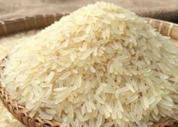 চালের মজুতে রেকর্ড, তবুও কমছে না দাম