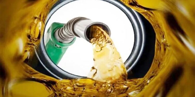 বাংলাদেশে তেলের পর্যাপ্ত মজুত রয়েছে: জ্বালানিমন্ত্রী