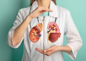 কিডনি সুস্থ রাখে যে ৫ খাবার