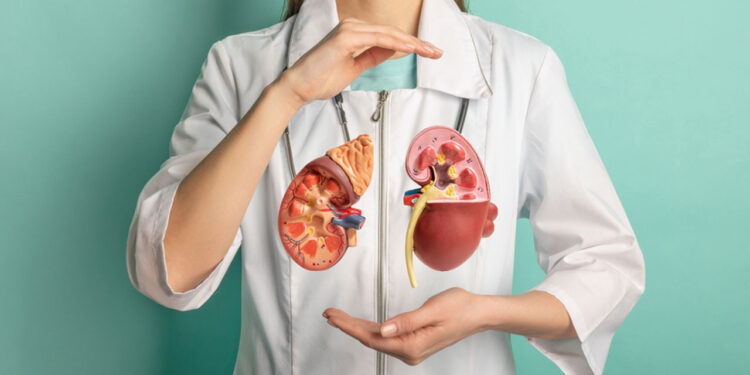 কিডনি সুস্থ রাখে যে ৫ খাবার