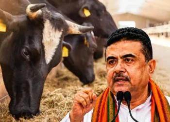 পশ্চিমবঙ্গে পশু জবাই নিষিদ্ধে উত্তেজনা, ক্ষোভ খামারিদের
