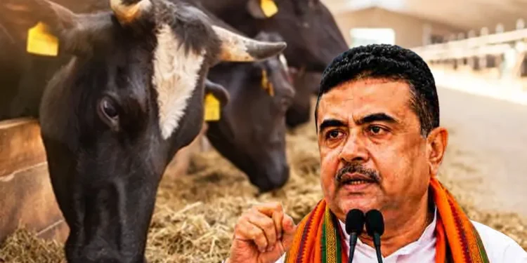 পশ্চিমবঙ্গে পশু জবাই নিষিদ্ধে উত্তেজনা, ক্ষোভ খামারিদের