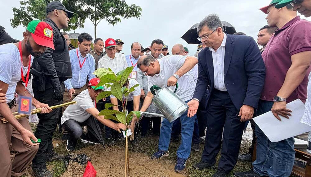দেশজুড়ে শিক্ষাপ্রতিষ্ঠানে বৃক্ষরোপণ কর্মসূচির উদ্বোধন করবেন আজ