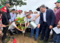 দেশজুড়ে শিক্ষাপ্রতিষ্ঠানে বৃক্ষরোপণ কর্মসূচির উদ্বোধন করবেন আজ