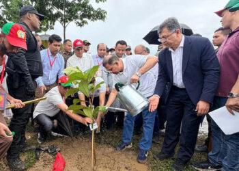দেশজুড়ে শিক্ষাপ্রতিষ্ঠানে বৃক্ষরোপণ কর্মসূচির উদ্বোধন করবেন আজ