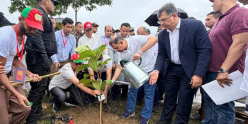 দেশজুড়ে শিক্ষাপ্রতিষ্ঠানে বৃক্ষরোপণ কর্মসূচির উদ্বোধন করবেন আজ