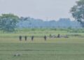 সীমান্তে পুশইন নিয়ে অস্থিরতা