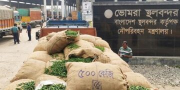 আমদানির খবরে নিয়ন্ত্রণে মরিচ